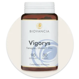 Vigorys gélules, boîte de 90