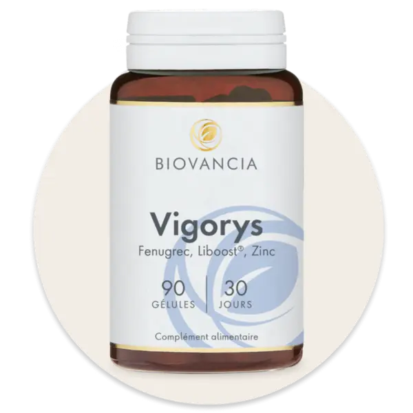 Vigorys gélules, boîte de 90